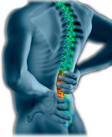 lowerbackpain.jpg